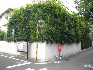 東京・田園調布　　庭の手入れ：その１